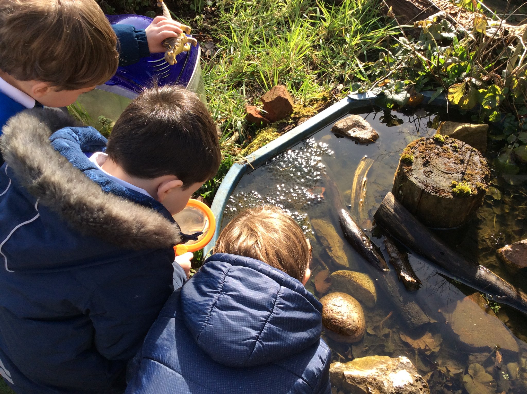 Image of A froggy find